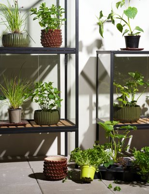 Grower Greens Planteskab Sort