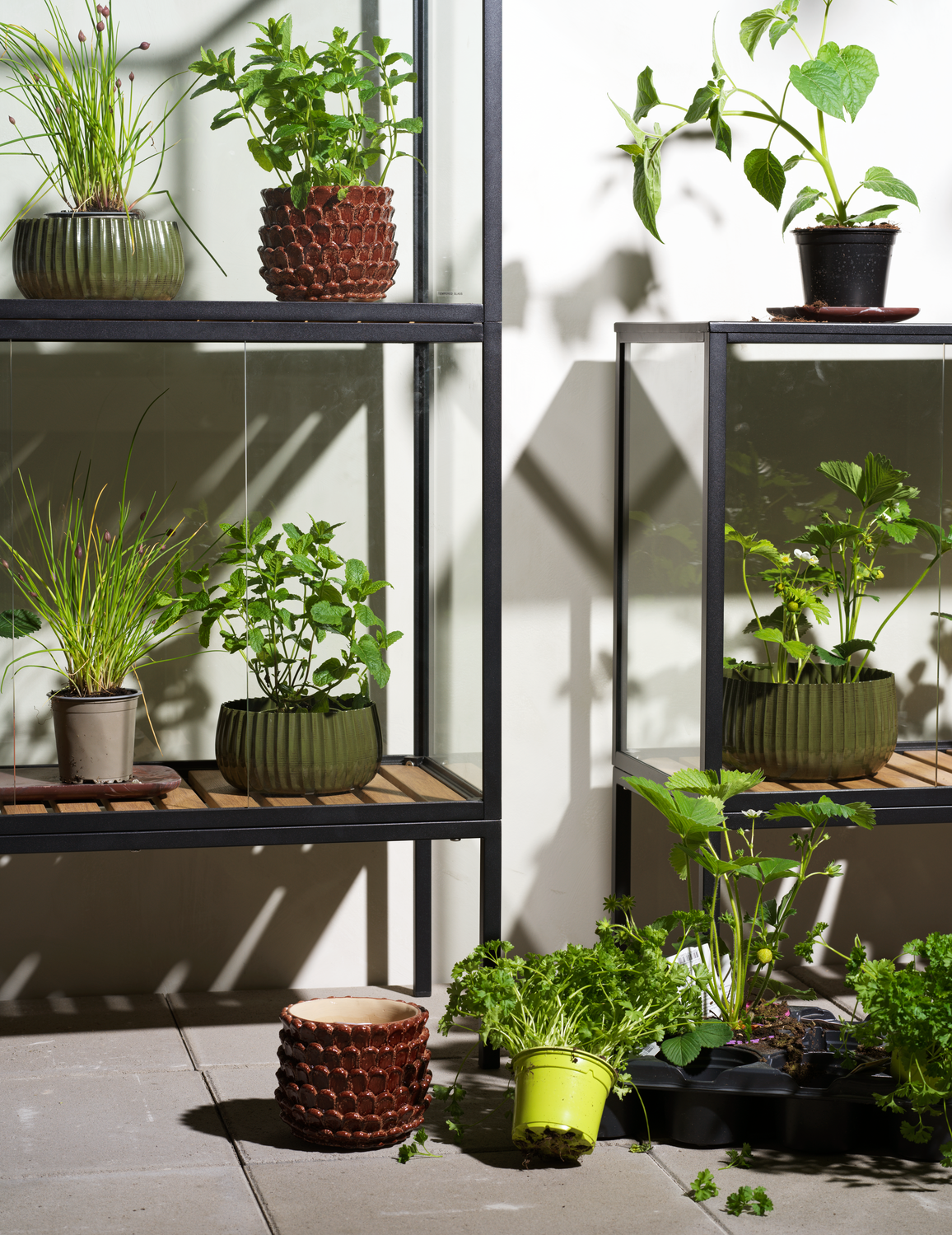 Grower Greens Planteskab Sort