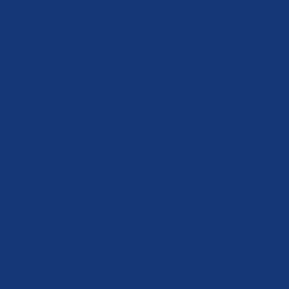 Indigo Blue.png
