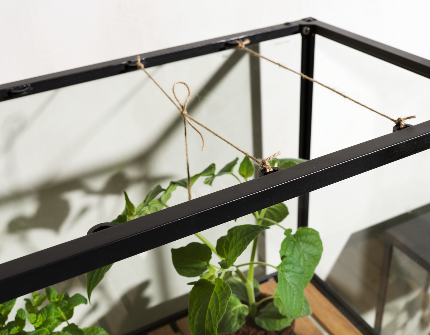 Grower Greens Planteskab Sort