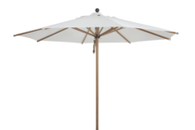 Paliano parasol Natur