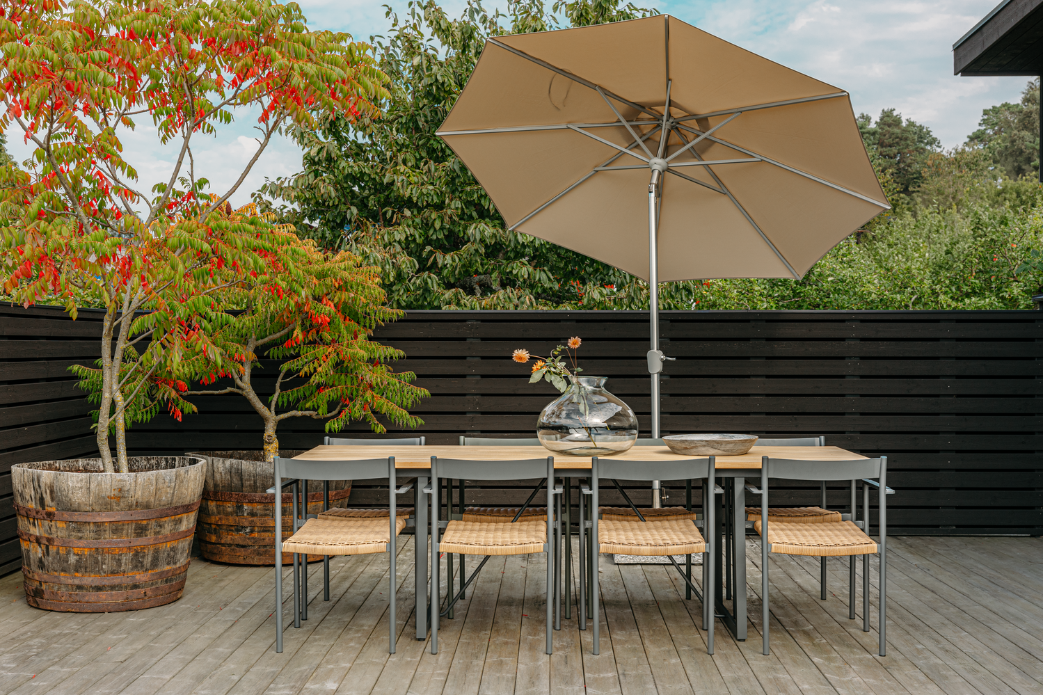 DK spisebordsstol Antracit/Natur