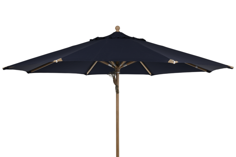 Parma parasol Marine